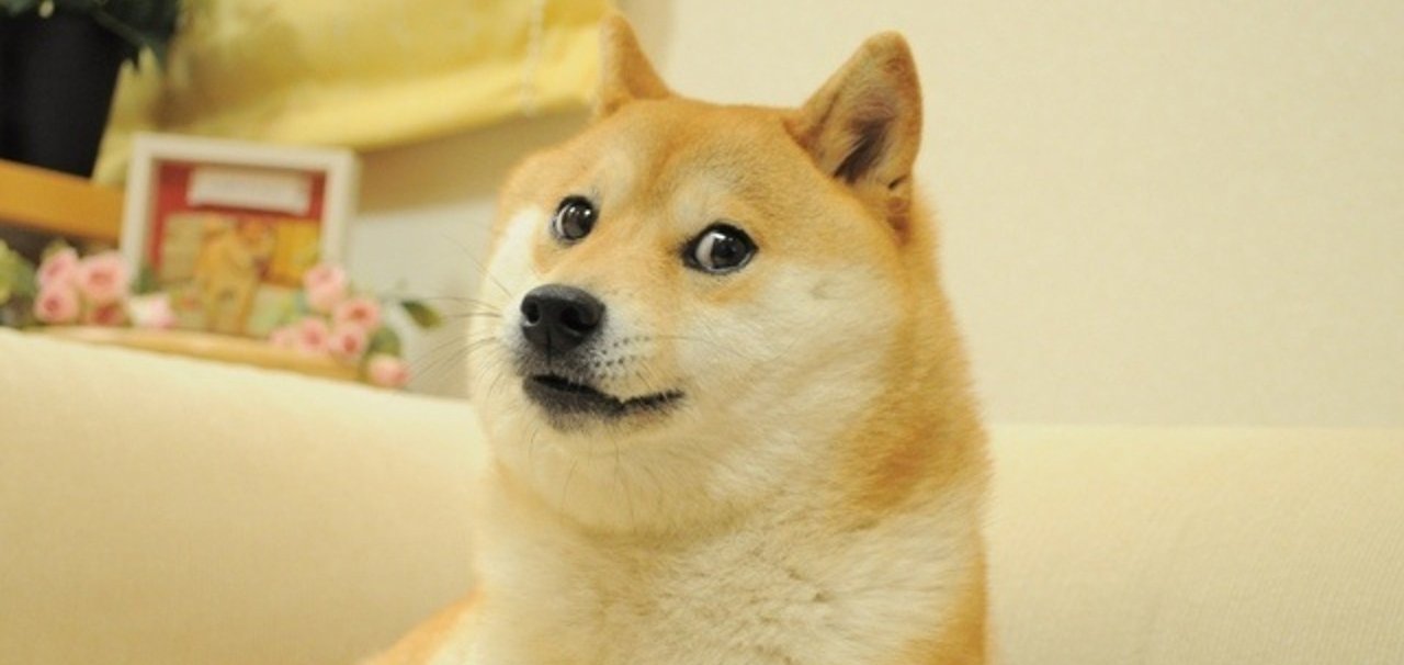 Doge meme